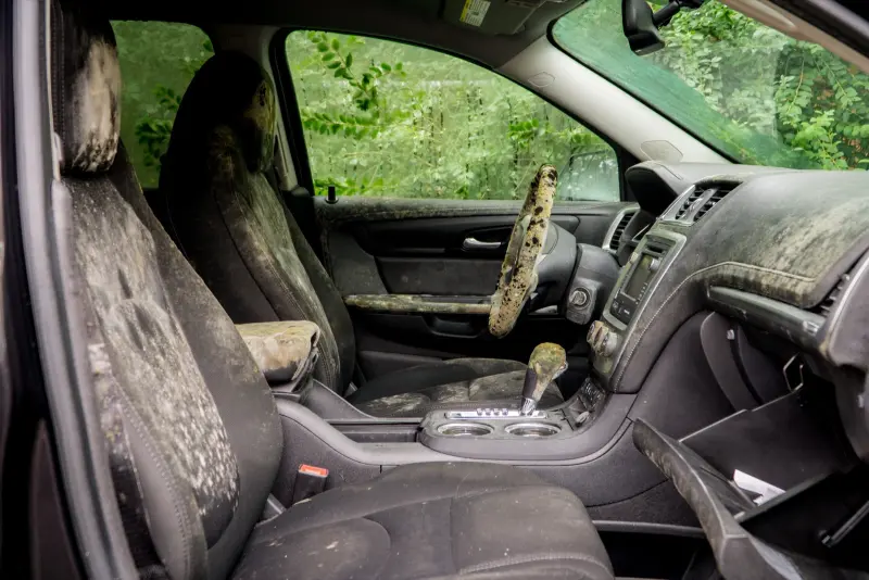 Car interior mould and odour removal in West London