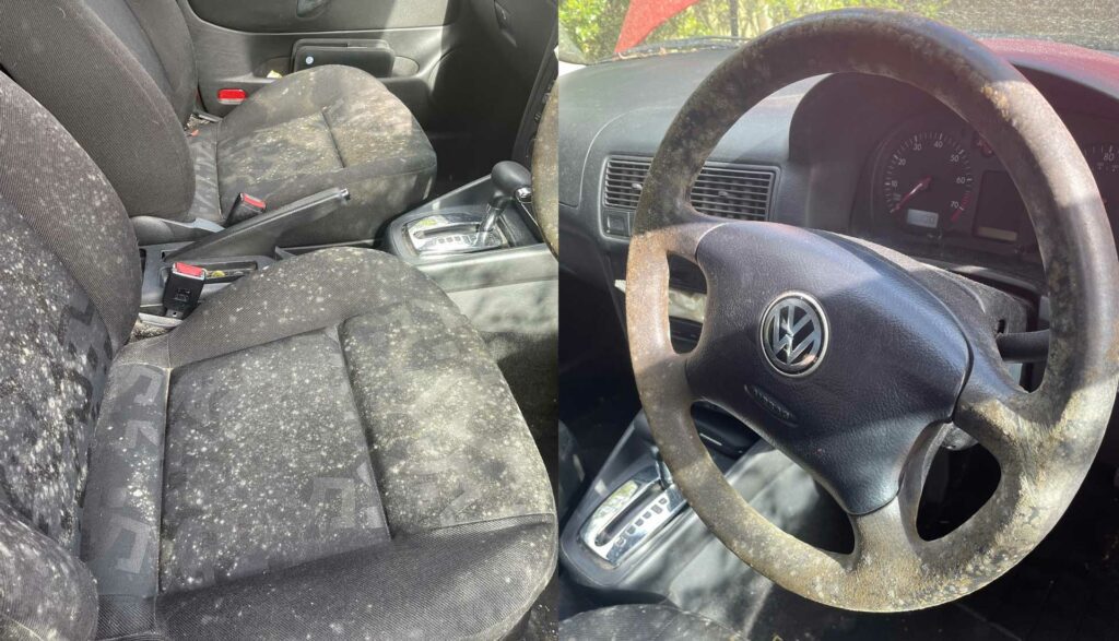 mould-removal-service